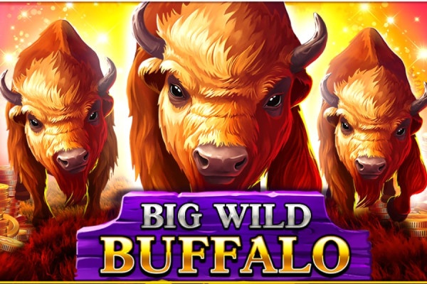 buffalo
